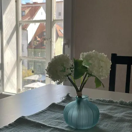 Old Town Theatre Staircase Appartement Ljubljana