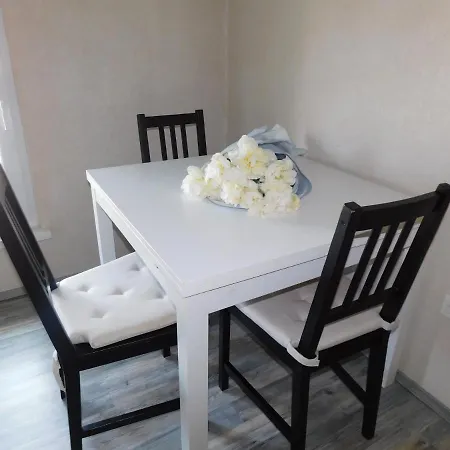 Old Town Theatre Staircase 公寓 卢布尔雅那