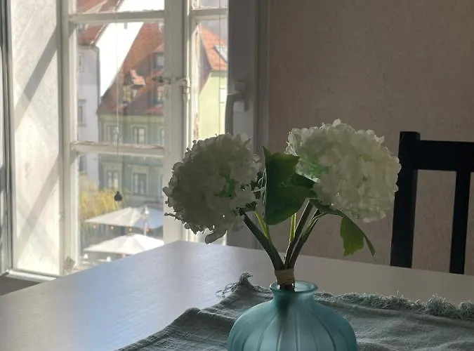 Old Town Theatre Staircase 公寓 卢布尔雅那